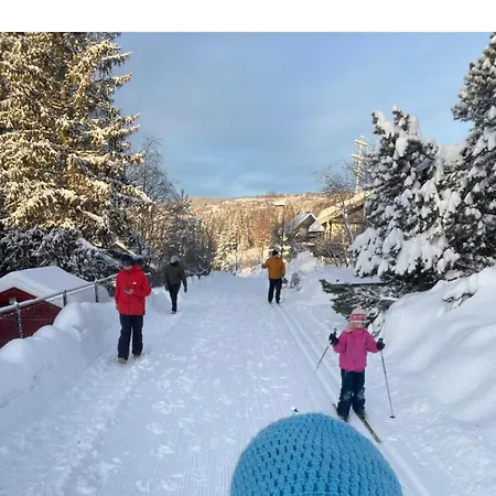Villa Stylish House For Rent Easter And Christmas 2025 Lillehammer