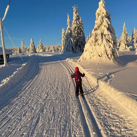 Stylish House For Rent Christmas 2025 * Lillehammer