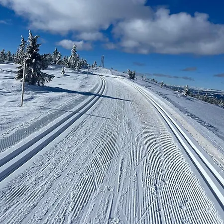 Villa Stylish House For Rent Easter And Christmas 2025 Lillehammer
