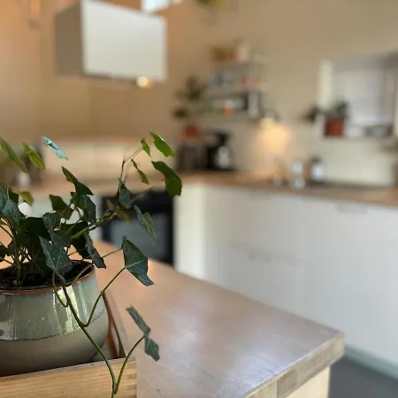 Stylish House For Rent Christmas 2025 Villaer *