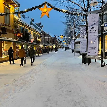 Stylish House For Rent Christmas 2025 Villaer *